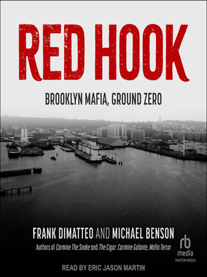 cover image of Red Hook